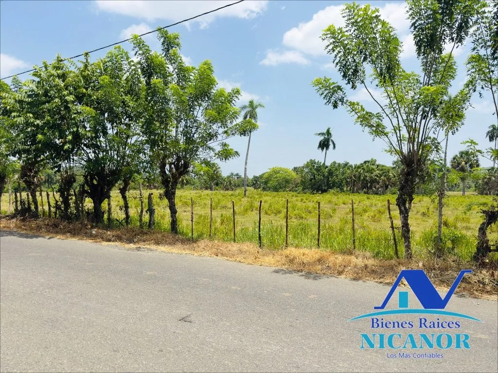 Finca de 1,010 tareas en venta - 11