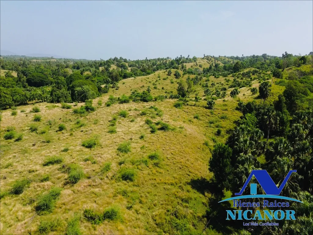 Finca de 1,010 tareas en venta - 3