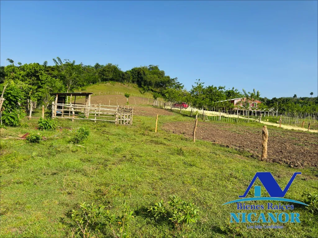 Finca de 278 tareas en venta - 8