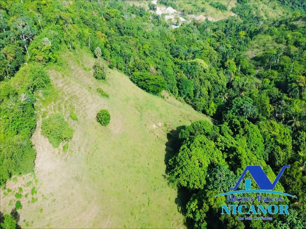 Finca de 278 tareas en venta - 2