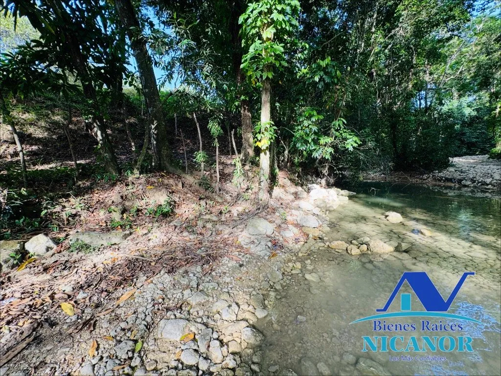 Finca de 278 tareas en venta - 13
