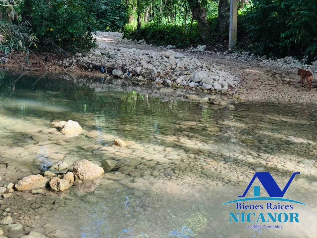 Finca de 278 tareas en venta - 11
