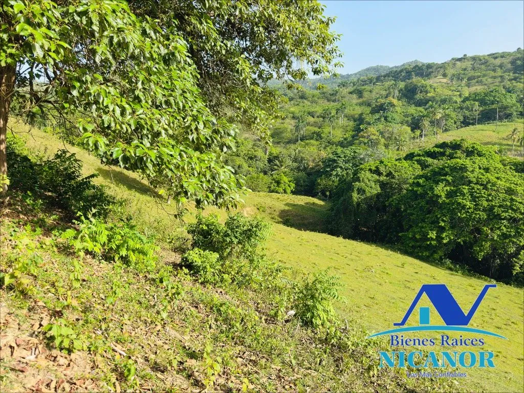 Finca de 278 tareas en venta - 5