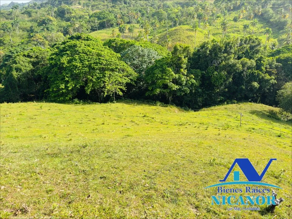 Finca de 278 tareas en venta - 4