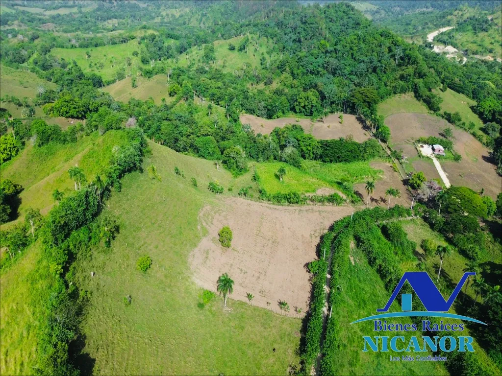 Finca de 278 tareas en venta - 1