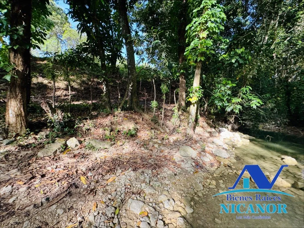 Finca de 278 tareas en venta - 9