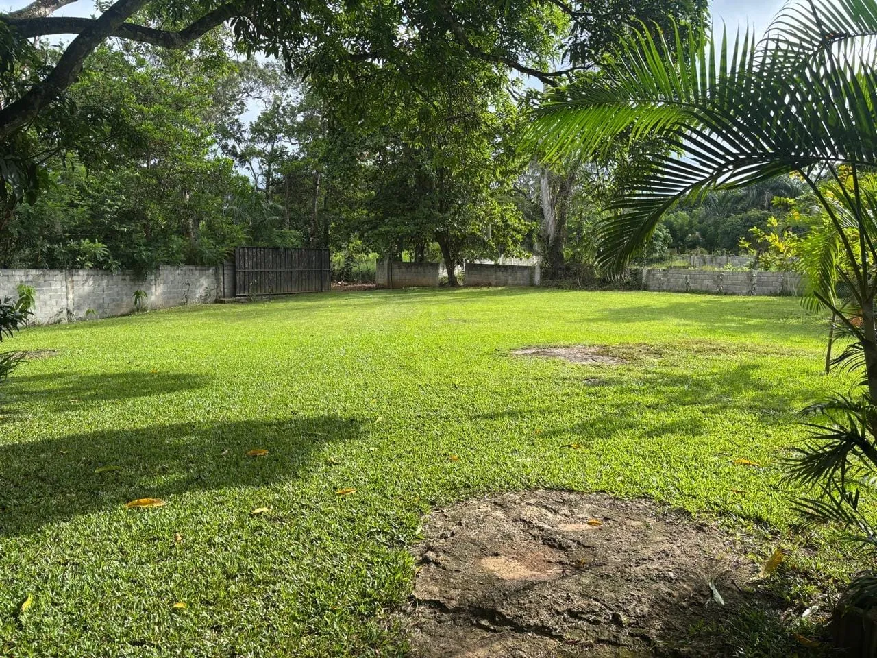 Finca - 2