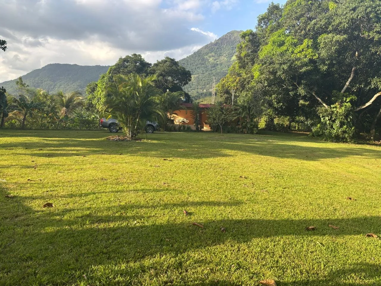Finca - 3